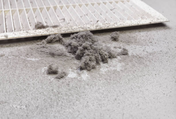 Best HVAC Duct Inspection Services  in Shelburn, IN