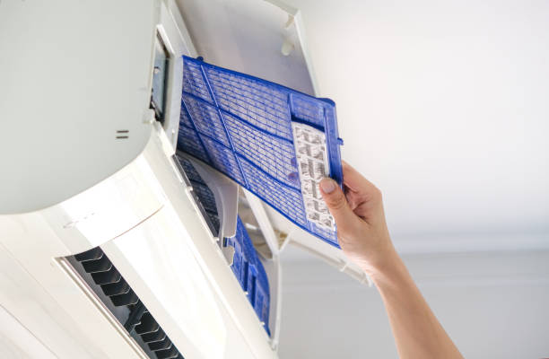 Best Local Air Duct Cleaning Services  in Shelburn, IN