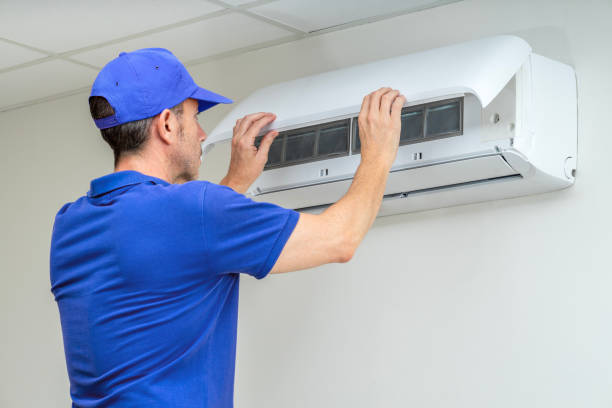 Best Home Air Vent Cleaning  in Shelburn, IN