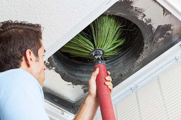 Best Air Vent Cleaning Services  in Shelburn, IN